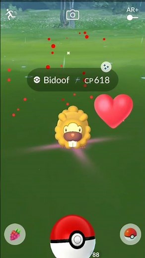 shiny hundo pokemon go_Bidoof perfect iv100%🤩 #short