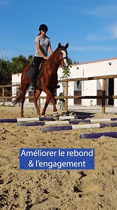 Tous les exercices Barres au sol ⤵ sio.terredesportequestre.com/barres-au-sol #cheval #horse | Terre de Sport Equestre