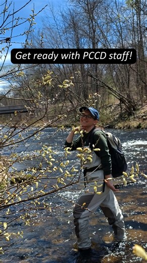 Our Watershed Specialist and other staff conduct surface water monitoring in a sample size of Pike County streams each year. In the spring, they collect aquatic macroinvertebrates, with the streams sampled rotating each year. In the fall, staff monitor the fish population in our streams as another aspect of our surface water monitoring program. Through surface water monitoring, PCCD staff and partners analyze samples for bioindicator species that are sensitive to pollution and assess stream heal