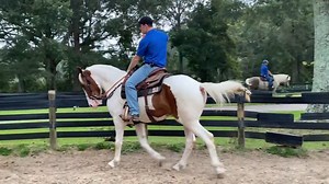 Discover the Difference Between A Loose Rein And A Contact Rein! Explore why the choice of rein matters, and how it influences your horse's training journey. 📚🐴 From reining to dressage, we'll break down the pros and cons, revealing valuable insights for both experienced riders and newcomers. Join us in this captivating discussion where horsemanship meets communication. Watch now to gain a deeper understanding of your equine partner's training experience. P.S. - 💬 Ready to enhance your horsem