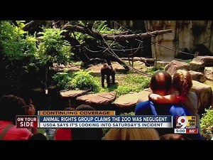 Animal rights group claims Cincinnati Zoo was negligent in gorilla incident
