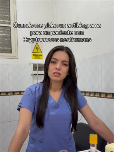 Micología Clínica: Diagnóstico, identificación y manejo de hongos de importancia médica Fecha de inicio: domingo 14 de junio del 2026 (2do domingo de cada mes) Horario: 9:30am a 12:30pm TRANSMISIÓN VÍA ZOOM! No olvides agregarte al grupo de WhatsApp del evento: https://chat.whatsapp.com/E48IZGAI7kLI6QcRCZVQlr?mode=gi_t Contacto: 51 960260550 / 51 913049663 #grupodeestudiosdetecnologíamédica #capacitaciónconstante #tecnólogomédico #tecnologíamédica #laboratorioclínico #micología #bioanalisis #qui