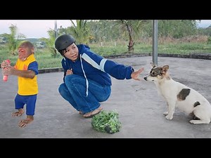 I Didn’t Expect My Life With Monkey & Dog to Be This Funny – Funniest Animal Moments