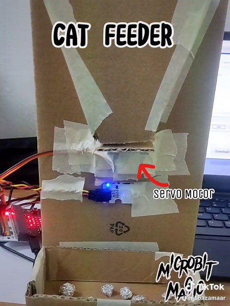 Automatic Cat Feeder Project Using Microbit