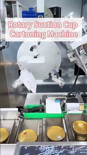 Rotary Suction Cup Cartoning Machine | Automatic Carton Packaging Solution