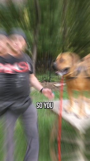 Dog training is more than a job... It's a lifestyle. We're excited to officially announce the launch of The American Standard Academy for Professional Dog Trainers! We're celebrating with a special LIVE on Thursday, 9/26, at 3:30PM EST with Garret Wing, Master Dog Trainer and owner of American Standard Dog Training and DIYK9.com. Join the live here: https://youtube.com/live/UaQfqCymevQ Garret will dive into what it truly takes to become a professional dog trainer, sharing insider knowledge and i