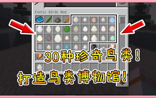 我的世界模组：30种珍奇鸟类！在MC中打造自己的鸟类博物馆！