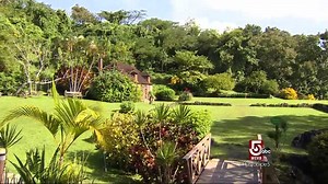 The influential history of Martinique