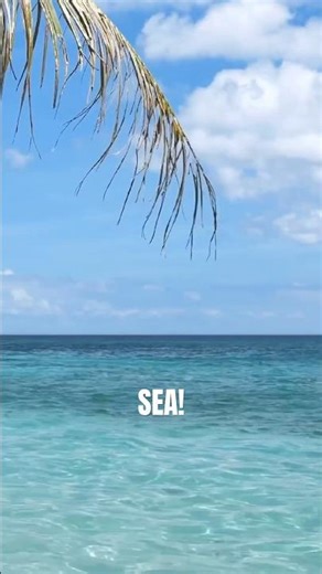 Ocean Books & Lessons for Kids! 🌊 #funfacts #marinelife #oceananimals