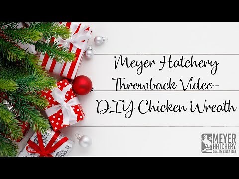 How to Make a Chicken Wreath
