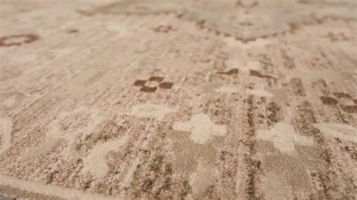 Home Decorators Collection Solara 9 ft. x 12 ft. BeigeMedalion Area Rug 76518