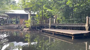 36K views · 384 reactions | Federated States of Micronesia Yela Forest Kosrae State | Lee Arkhie Perez Photography | Facebook