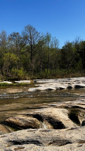 18K views · 12 reactions | McKinney Falls State Park - Texas Parks and Wildlife on Reels | Facebook