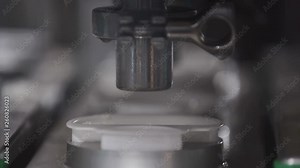 Yogurt packaged in plastic containers on production line. Packaging line at dairy factory.