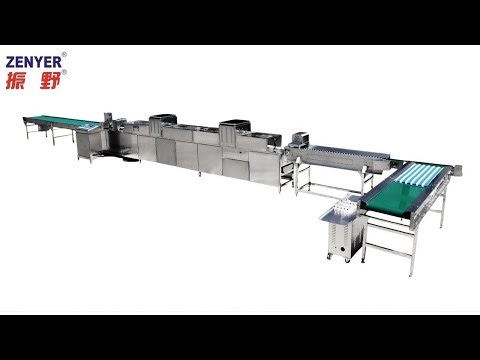 Zenyer 202A egg washer capacity 10000 eggs/hour