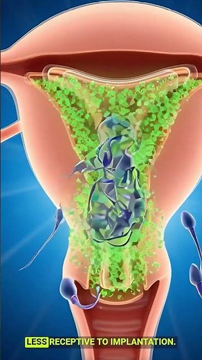 How a Copper IUD Works Inside the Body – 3D Animation & Full Guide