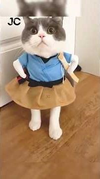 THE FUNNIEST DOGS AND CATS😂
