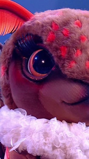 Who is Behind the Mask in Our Shining Moth Performance?