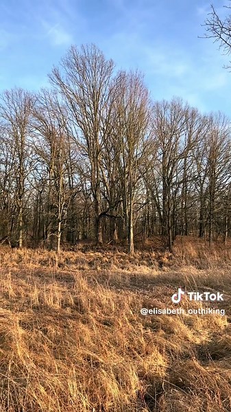 We always called these amorous springtime frogs peepers. Not the bad kind, but apparently because of their peeping sounds. #peepers #frogs #springtime #northeast #springiscoming #springisintheair #frogsoftiktok #frogsong