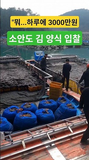 I just checked out the bid for seaweed farming on Soando. 30 million won a day is mind-boggling!