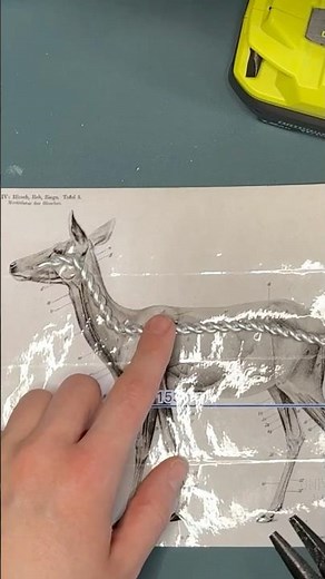 Tutorial ✦ how to make a wire armature for polymer clay animals