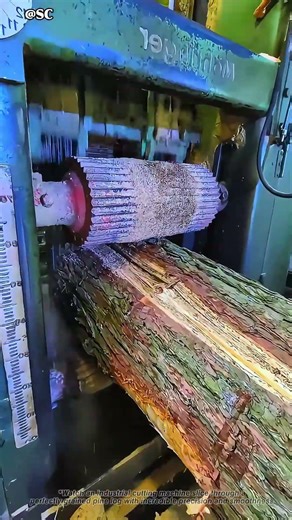 Perfect Pine Cut by Industrial Machine 😍 #satisfying #woodcutting #shorts