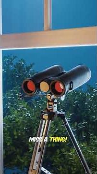 Don’t Cruise to Alaska Without These 3 Tips! #cruisenews #cruisetour #cruise