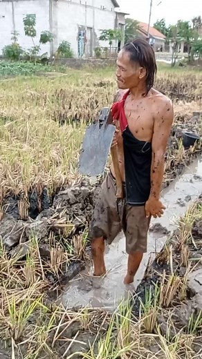 Best Practices for Sustainable Rice Farming Techniques