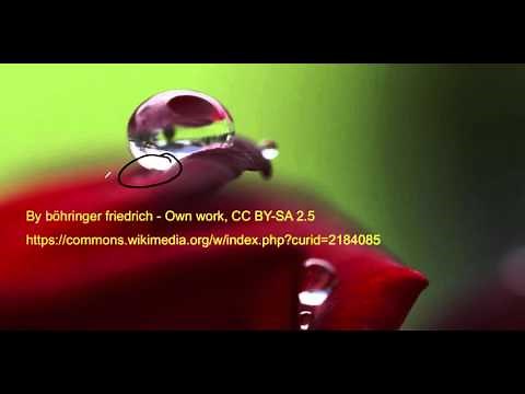 Contact Angle and the Young Equation