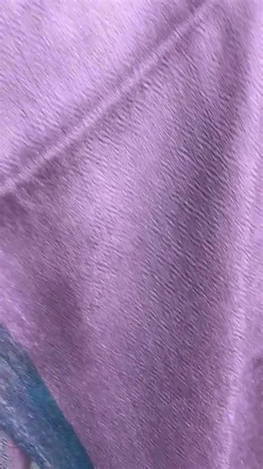 Pure Cashmere Shawl With Handwoven Silk Border | Soft Cashmere Wrap | Luxury Winter Gift for Her - Etsy