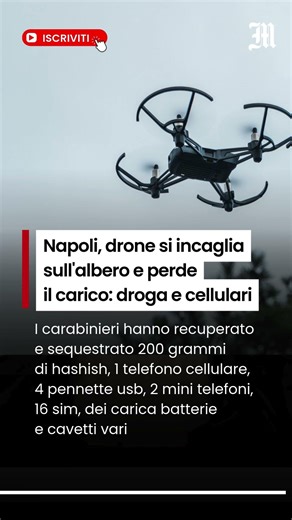 Il drone si incaglia sull'albero e perde il carico: droga e cellulari