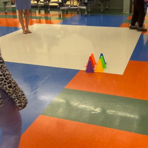 Allegro Dance Project on Reels