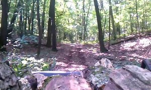 1.4K views · 34 reactions | In this August 16, 2015 video I am in our neighbors woods where I just cut a quad trailer load of firewood, I then haul it to Bay #1 and start splitting it. | Joe's Premium Firewood | Facebook