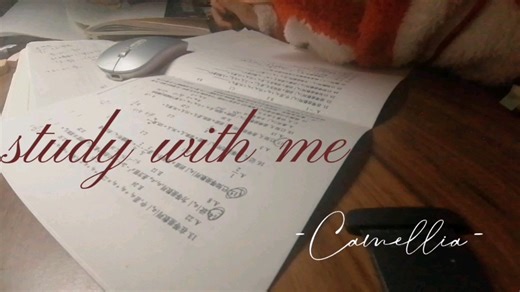 纯音乐| study with me |一小时沉浸式学习|学习动力|小提琴曲