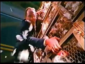 geico direct commercial chicken truck (1998)