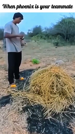 When phoenix is your teammate 😂 | Valorant Meme