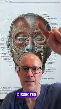 Cadaver Dissection Training in Edinburgh: Exploring Real vs. Textbook Anatomy