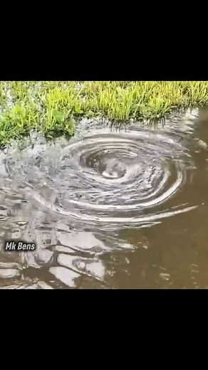 Storm Drain Cleaning | MK bens