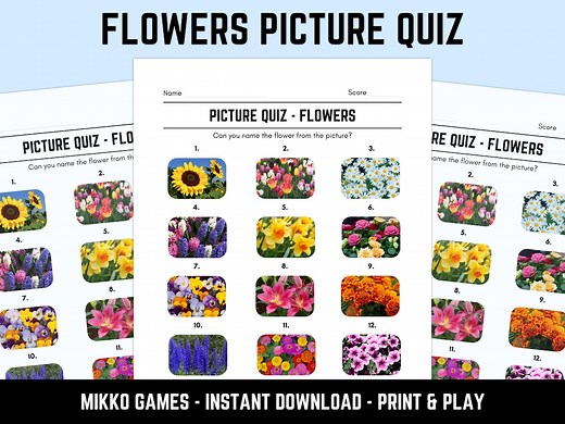 Printable Flowers Picture Quiz With Answers: Picture Round Quiz Sheets, Pub Quiz Trivia, Downloadable Table Quiz, Fun Nature Quiz - Etsy UK