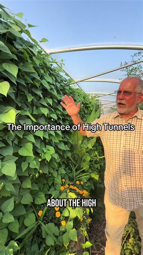High Tunnels: Enhancing Agriculture in Springfield, MO