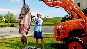 How to Clean and Cook a 300lb Grouper In this episode of BlacktipH, we show you how to clean and cook a massive 300-pound Warsaw Grouper! My good friend Capt. Jason Boyll is one of the best in the world at cleaning Warsaw Groupers. We wrapped a giant rope through the mouth of the grouper and tied the other end of the rope to a tractor. We had to use the tractor in order to lift the fish out of the boat. This fish was so heavy, Jason had to fillet the fish while it was hanging. Each fillet weighe