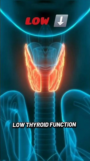 Why You Feel Cold Even When It’s Not Cold – Surprising Reasons #facts #wellness