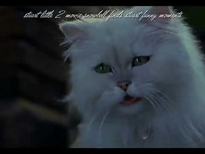 stuart little 2 movie snowbell finds stuart funny moments