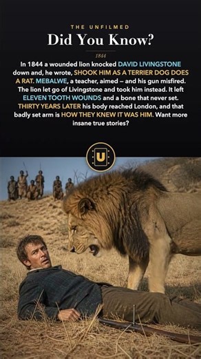 A Lion CRUSHED His Arm — That's How They Knew It Was Him