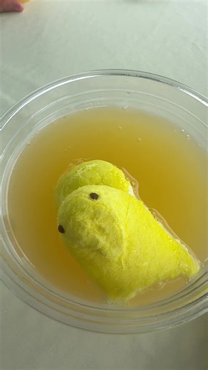 Peep swimming #interesting #Mimi #summer