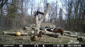 15K views · 1.2K reactions | What do Samson and Shintay get up to...