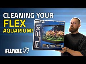 AS EASY AS 1-2-3 | Maintaining a Fluval Flex 2.0 Aquarium