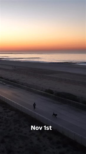 Want to learn how to run with your dog hands free? Join us for any of our run events. Next one is Nov 1st. I will provide the proper waistband and leash. Just bring your pup and a harness that clips to their back. All of this is free just show up with or with out a dog! See you there! #dogs #barkandburn #marathon #training | Bark and Burn