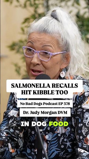 Salmonella recalls in dog food and what dog owners should know about kibble