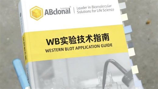 我愿称之为学习WB实验最伟大的详解